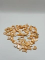 DOĞAL TURUNCU AY SEDEF (25 GRAM - 60 ADET)