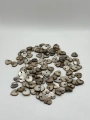 DOĞAL KAHVE KALP SEDEF (25 GRAM - 55 ADET)