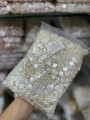 Lüks Şekilli Barok İnci Boncuk - 500 Gram