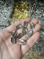 METAL GÜMÜŞ DENİZ KABUĞU (50 gram)