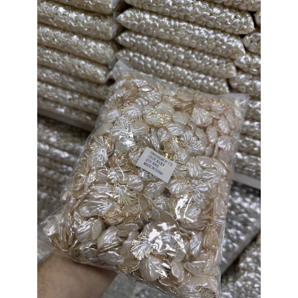 Yaldızlı İstiridye (500 gram)