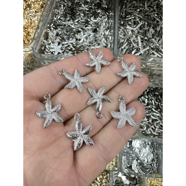 METAL GÜMÜŞ DENİZ YILDIZI (50 gram)