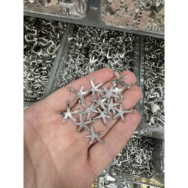 METAL GÜMÜŞ DENİZ YILDIZI (50 gram)