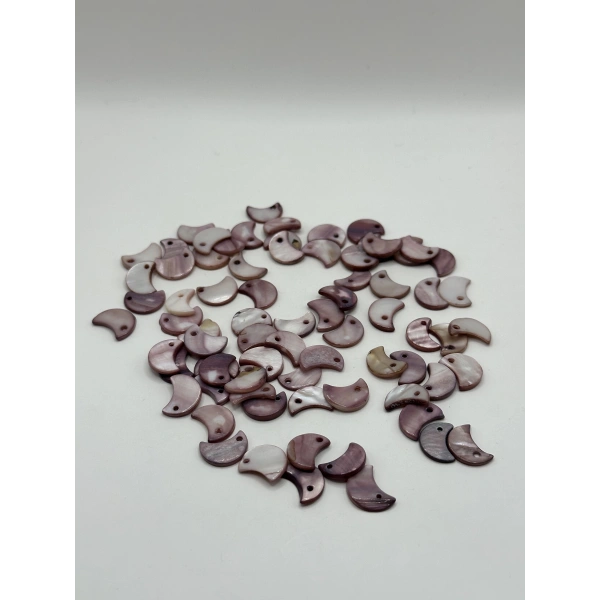 DOĞAL GÜL KURUSU AY SEDEF (25 GRAM - 60 ADET)