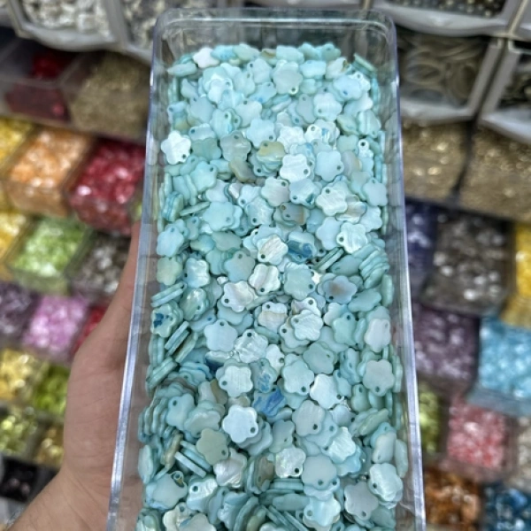 Sedef Pul (100 gram)