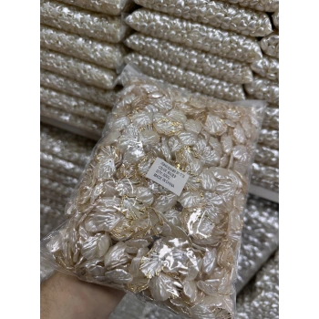 Yaldızlı İstiridye (500 gram)