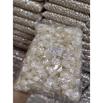 İstiridye Küçük Boy (500 gram)