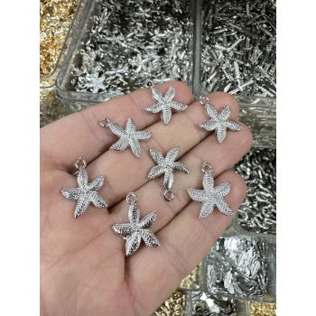 METAL GÜMÜŞ DENİZ YILDIZI (50 gram)