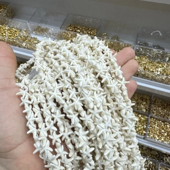 Dizi deniz yıldızı (500 gr)