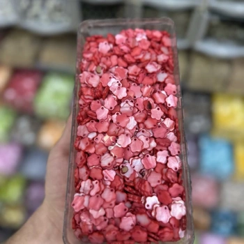 Sedef Pul (100 gram)