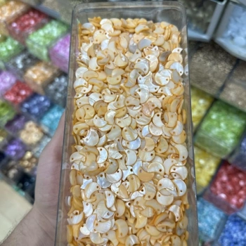 Sedef Pul (100 gram)