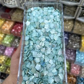 Sedef Pul (100 gram)