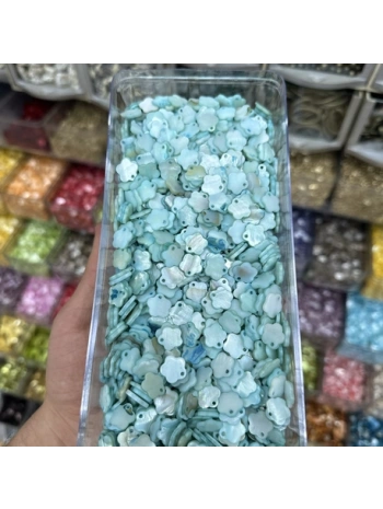 Sedef Pul (100 gram)