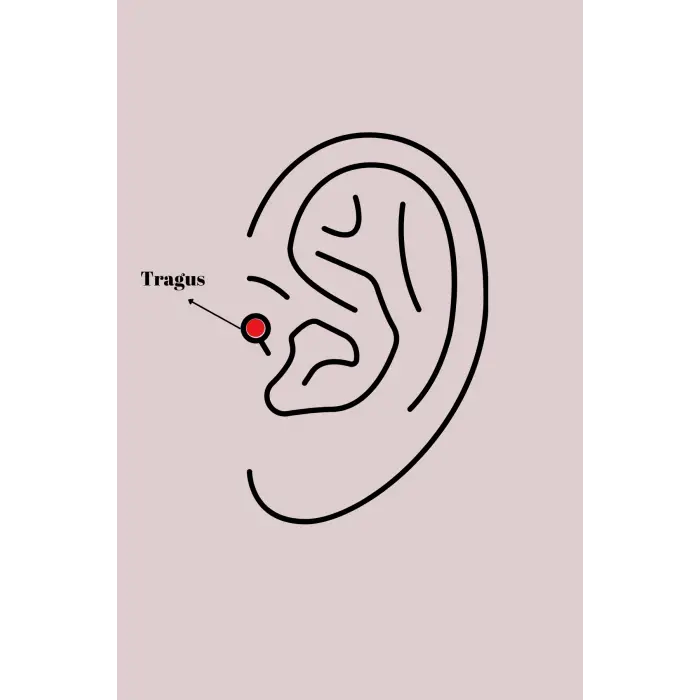 316L Çelik Gümüş Renk Zirkon Taşlı Yıldız Model Tragus Piercing