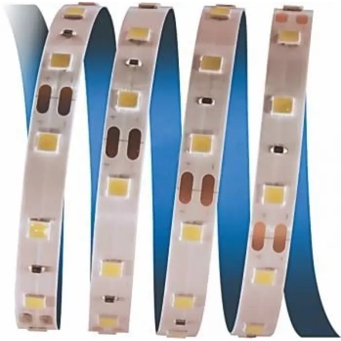 5 METRE CATA CT 4481 İç Mekan 12V 10 Çipli Şerit Led 3200K Günışığı