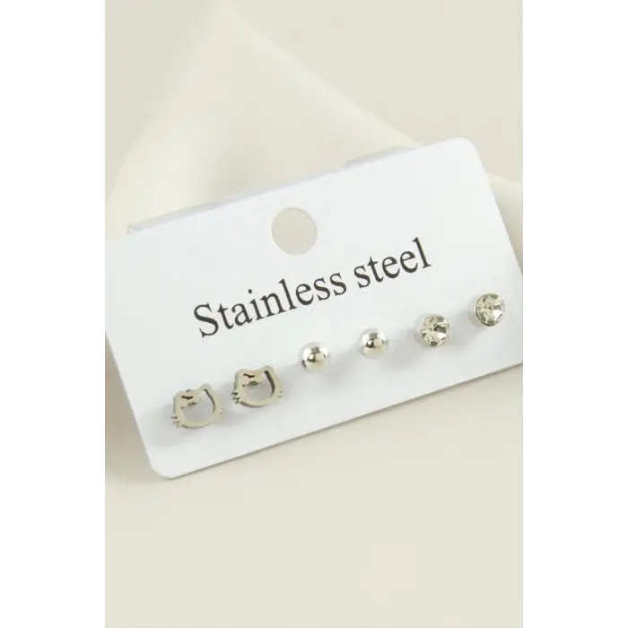 6 Adet Kedi Taşlı Çelik Küpe