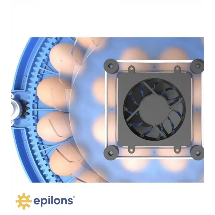 80/240 Kapasiteli Çift Viyollü Kuluçka Makinesi Kaz Ördek Tavuk Bıldırcın Kuşlar İçin