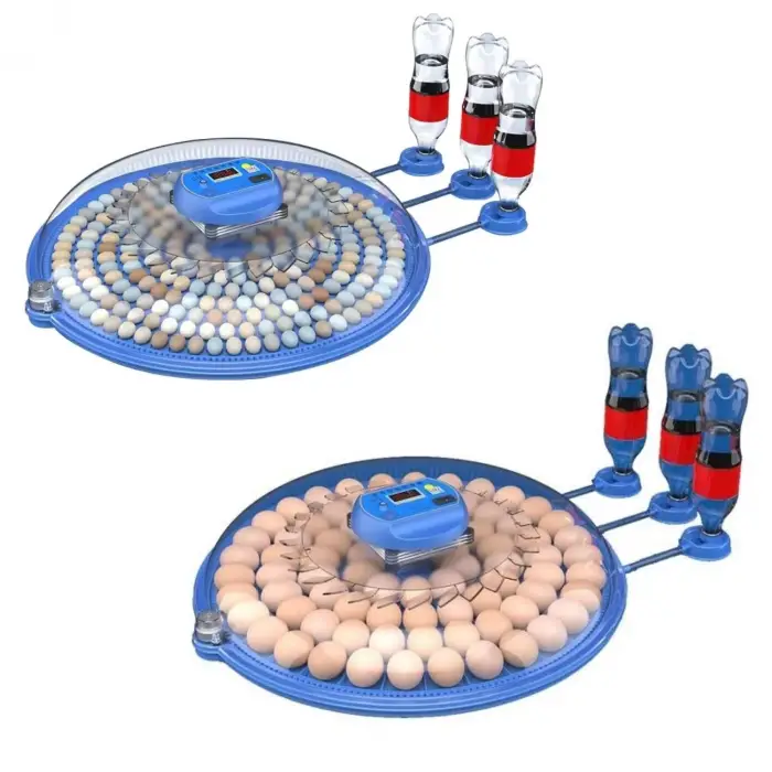 80/240 Kapasiteli Çift Viyollü Kuluçka Makinesi Kaz Ördek Tavuk Bıldırcın Kuşlar İçin