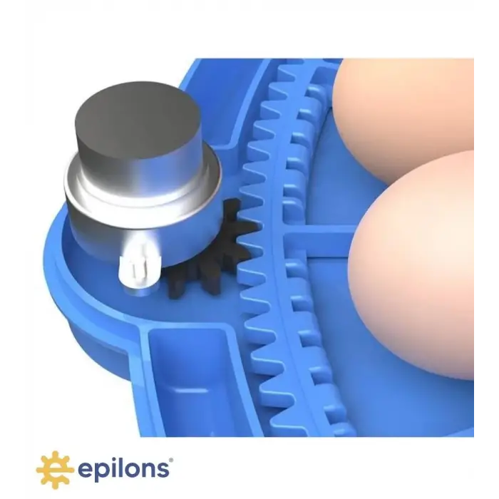 80/240 Kapasiteli Çift Viyollü Kuluçka Makinesi Kaz Ördek Tavuk Bıldırcın Kuşlar İçin