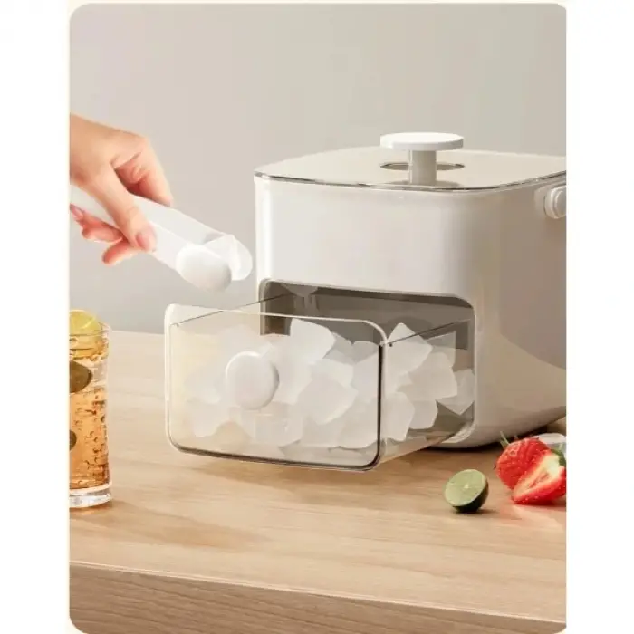 Buz Kalıp Ve Saklama Kutusu