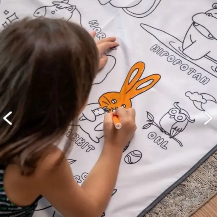 BX 281 YIKANABİLİR BOYAMA