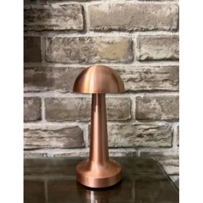 CATA CT 8430 Lizbon 3 Renk Şarjlı Masa Lambası