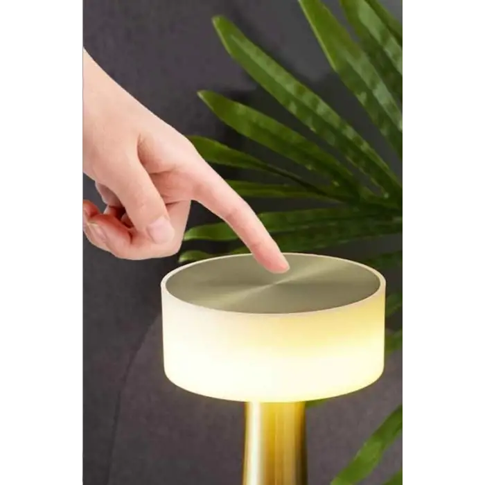 CATA CT 8436 Denver Şarjli Masa Lambası 3 Renk