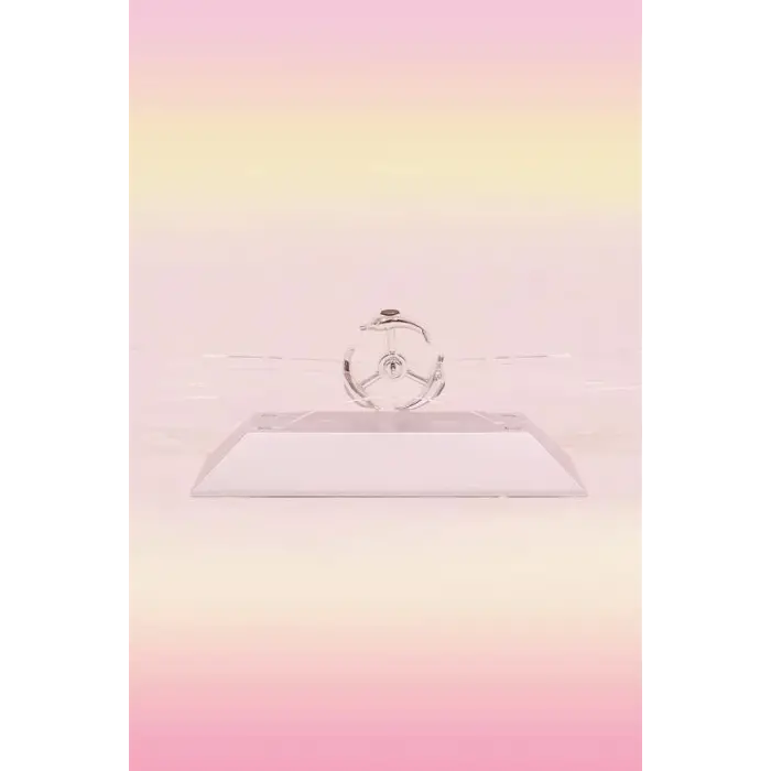 Dekoratif Masa Üstü Obje Manyetik Kinetik Orbital Dönen Yunuslar