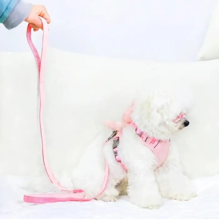 Evcil Hayvan Peluş Ayıcıklı Göğüs Gezdirme Tasması Set