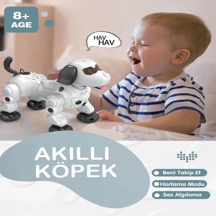 GL-777-602A U/K ŞIKLI VE SESLİ AKILLI ROBOT -VRD
