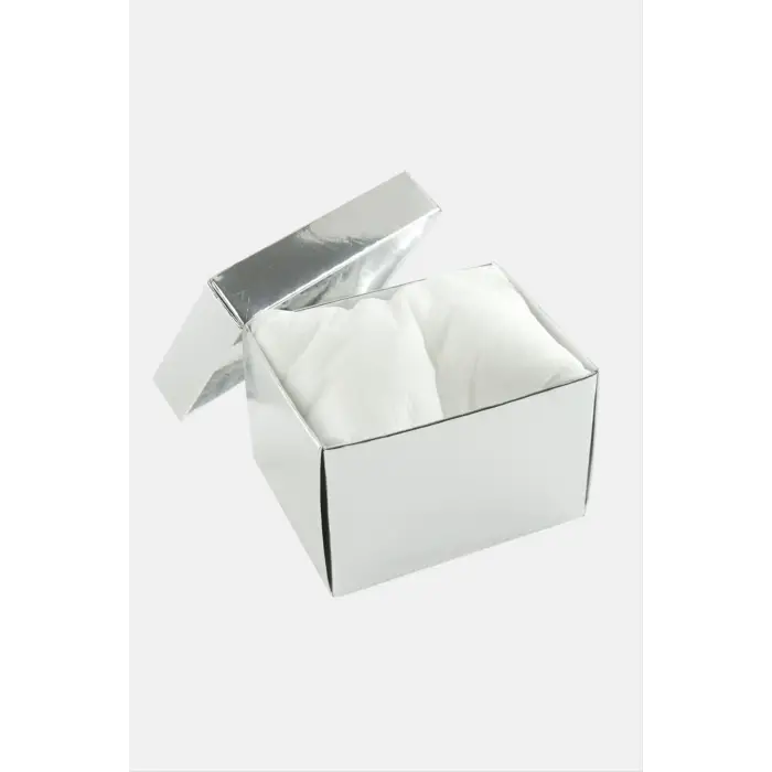 Gümüş Renkli Kapaklı Saat Kutusu