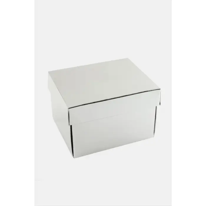 Gümüş Renkli Kapaklı Saat Kutusu