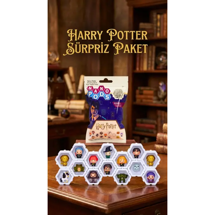 Harry Potter Koleksiyon Sürpriz Figür Seti Ünlü Karakterler