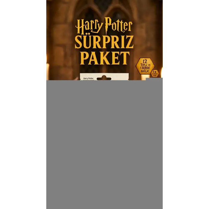 Harry Potter Sürpriz Figür Oyuncak Koleksiyon Kutusu