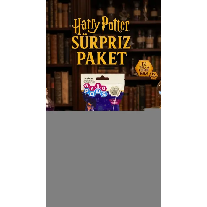 Harry Potter Temalı Koleksiyonluk Sürpriz Figür Seti 2li Paket