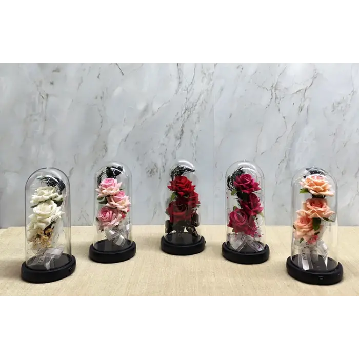 Işıklı Müzikli Cam Fanus İçinde Romantik Gül