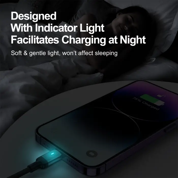 S-CL020A10 20W TYPE C-LIGHTNING 2M-BLACK