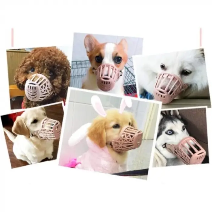 Köpek Koruma Ağızlığı 7li Set