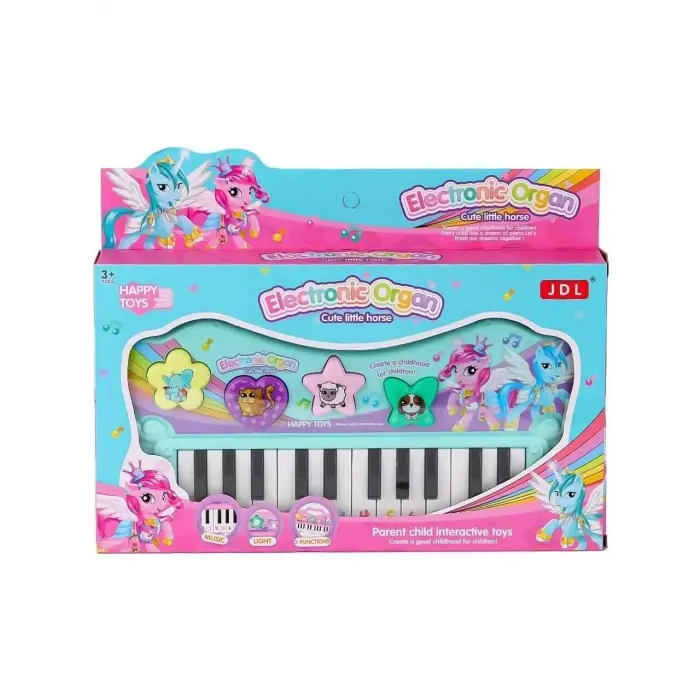 KUTULU ÇANTALI PİLLİ ORG