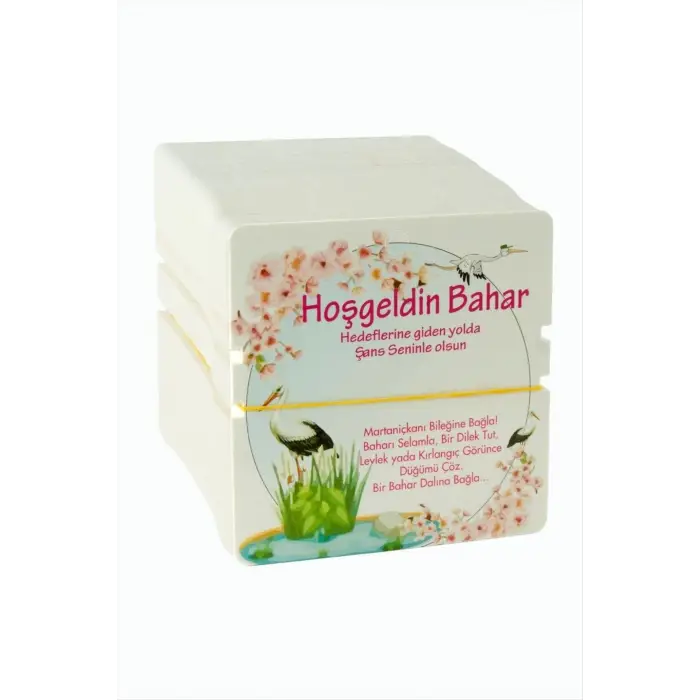 Marteniçka Bileklik Kartı