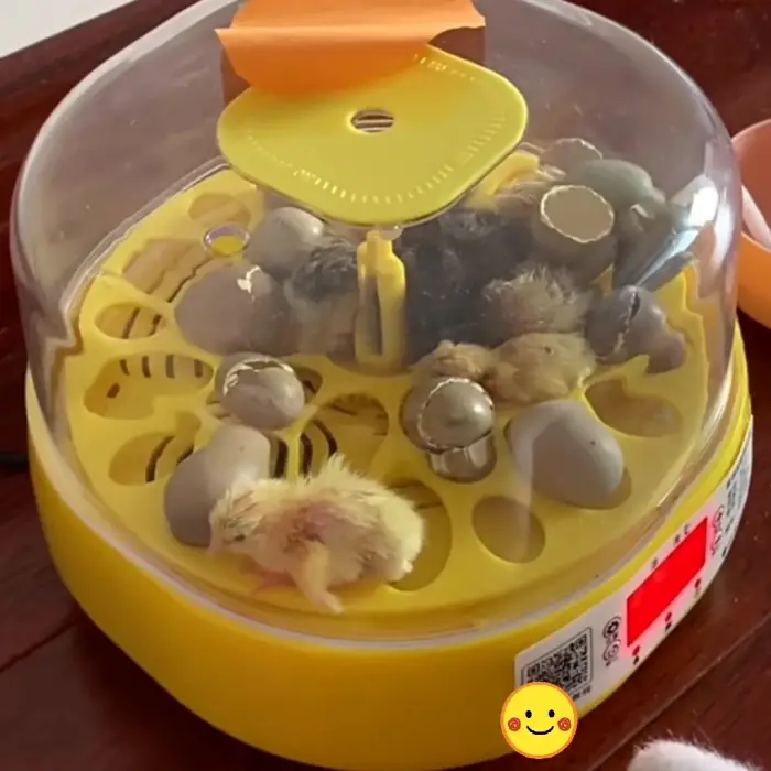 Tam Otomatik Ev Tipi Kuluçka Makinesi Isı ve Nem Ayarlı Gün Sayaçlı