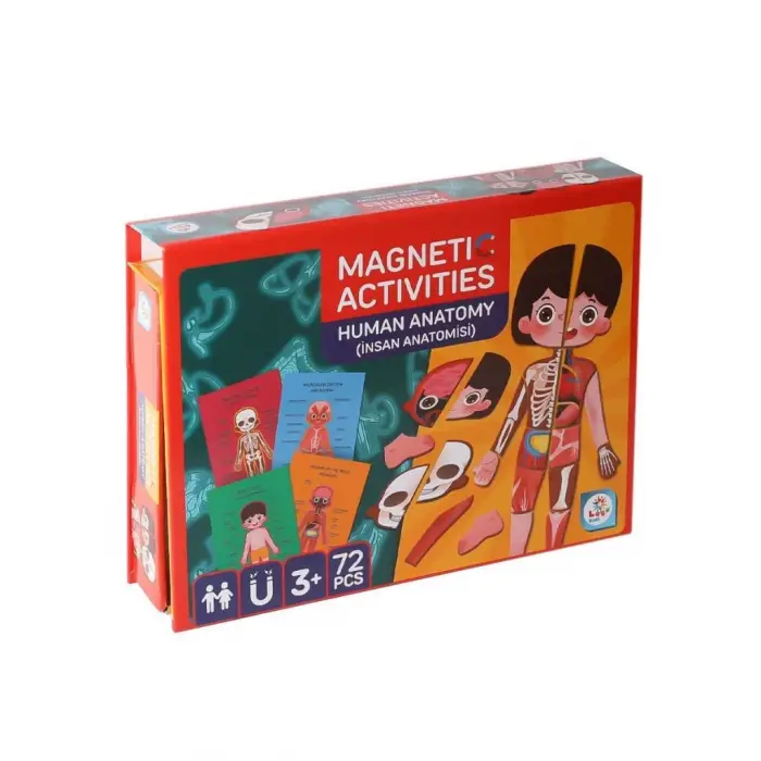 BX  LC986ManyetikAktiviteİnsanAnatomisi-Laço