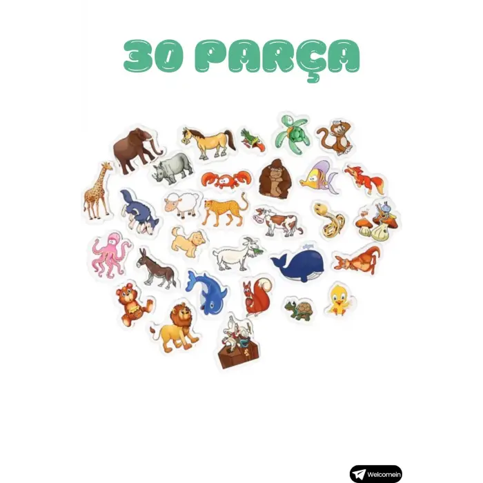 Oyuncak Manyetik Mıknatıslı 30 Parça Hayvanlar ve 26 Parça Sebze Meyveler Eğitici Set Magnet