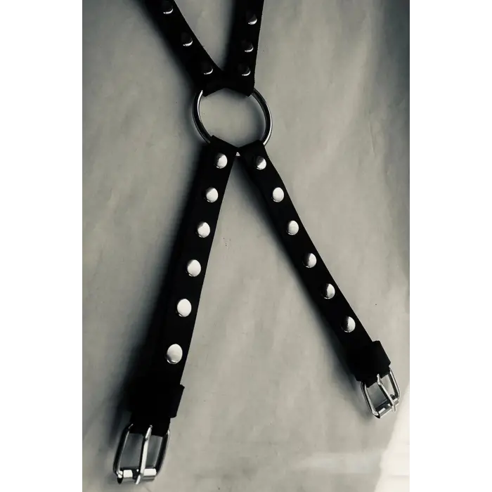 Özel Tasarım Deri Harness Boyunluk 1040