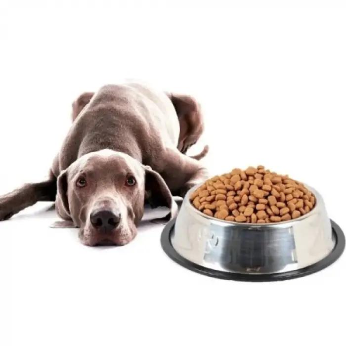 Paslanmaz Çelik Metal Mama Kabı 30 cm.