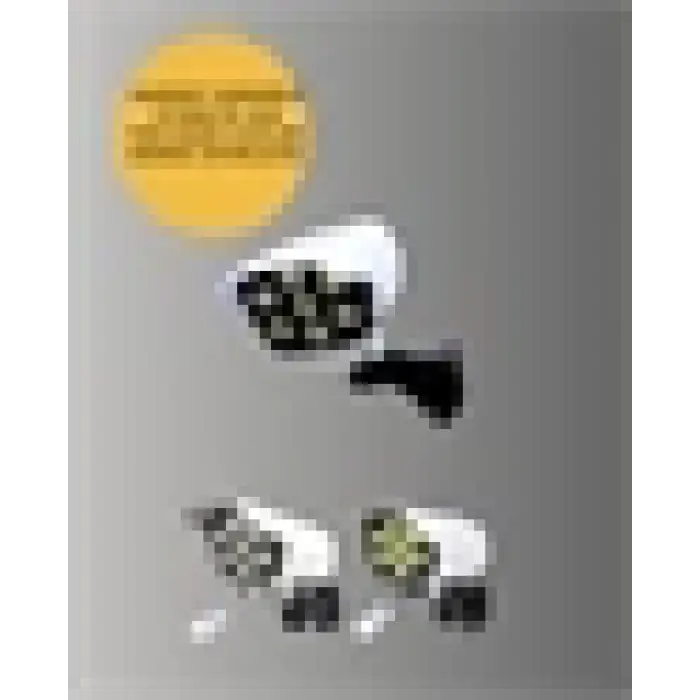 PVC+PC Malzemeli, 2si 1 Arada Güvenlik Lambası – Ayarlanabilir Başlık ve Panel Açısı