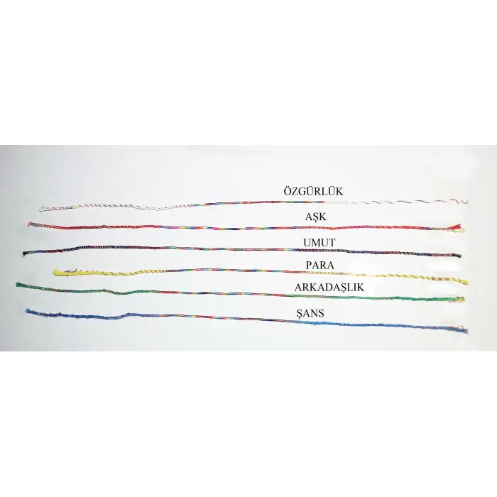 Renkli Şans Bileklikleri ( 6 Adet ) (336336)