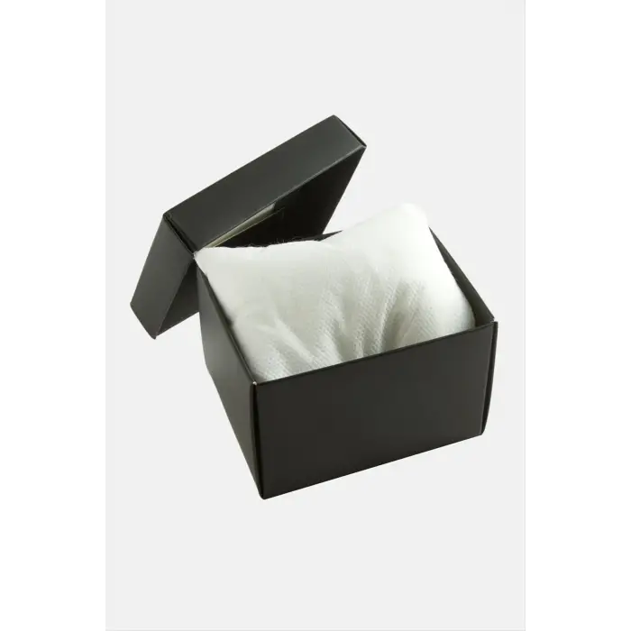 Siyah Renkli Kapaklı Saat Kutusu