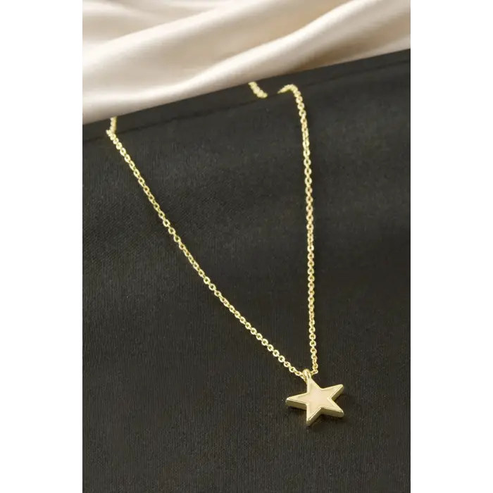 Yıldız  Sedef Çelik Kolye