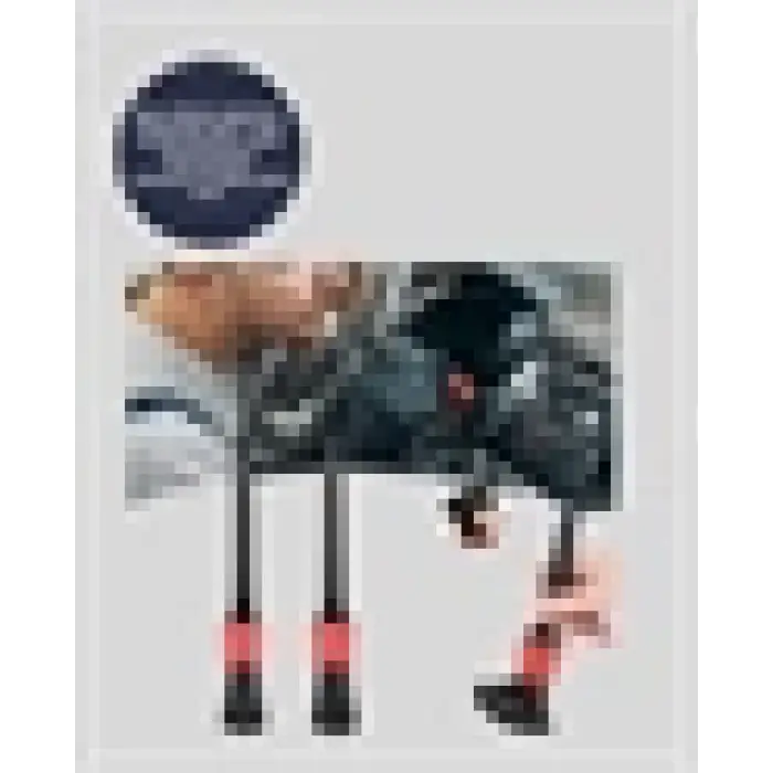 Yumuşak Kıllı Araç Bakım Fırça Takımı